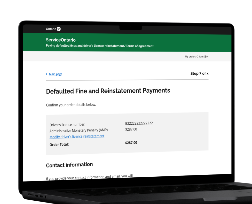 Design Prototypes for improving Government services delivery